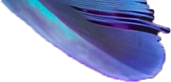 left leaf